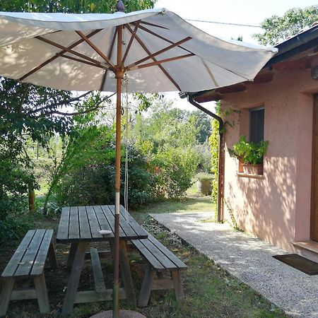 Agriturismo Il Palazzo Villa Brisighella Exterior photo